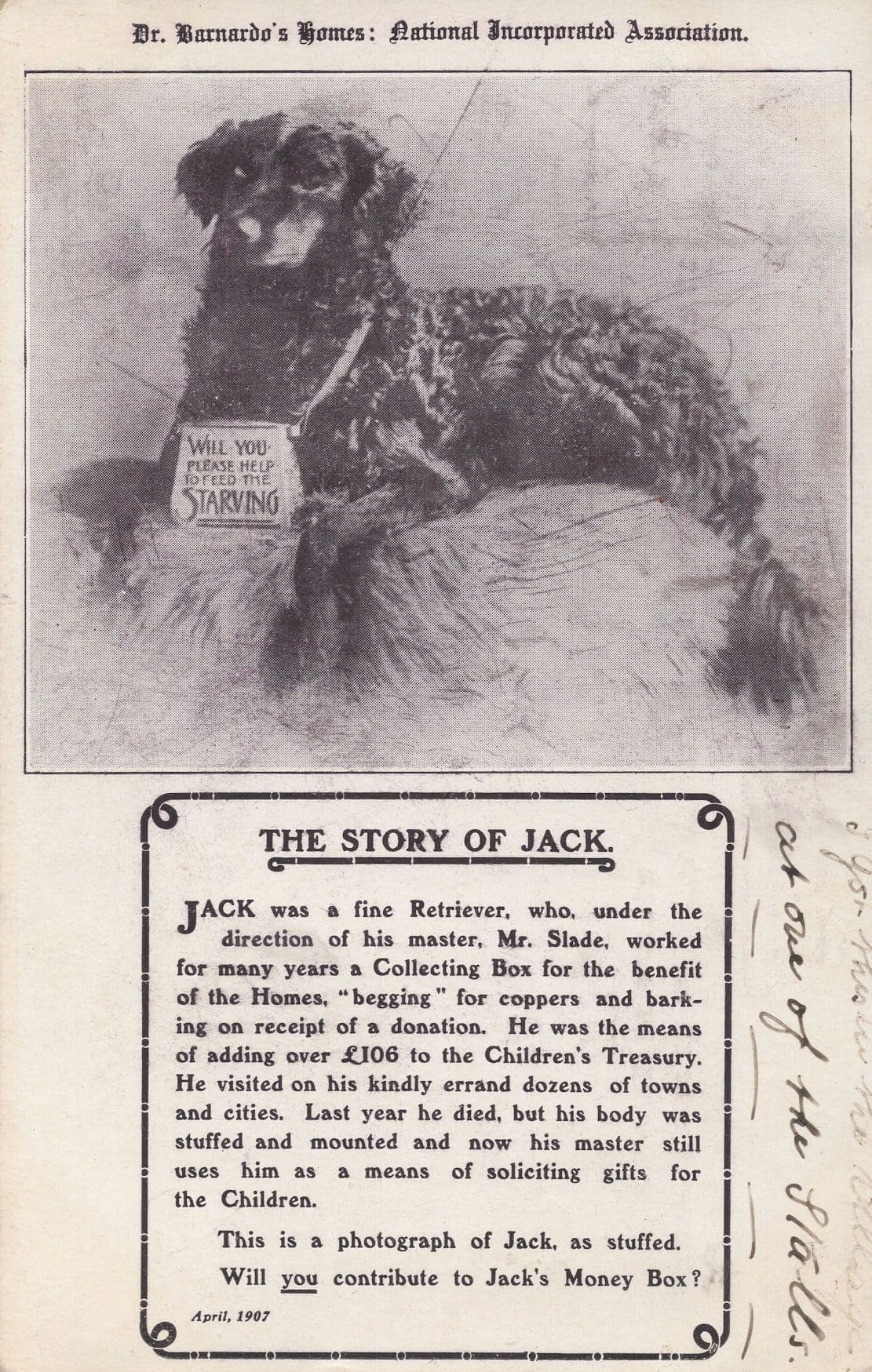 Dr Bernardos Retriever Dog Begging Raising Charity Money Old Postcard