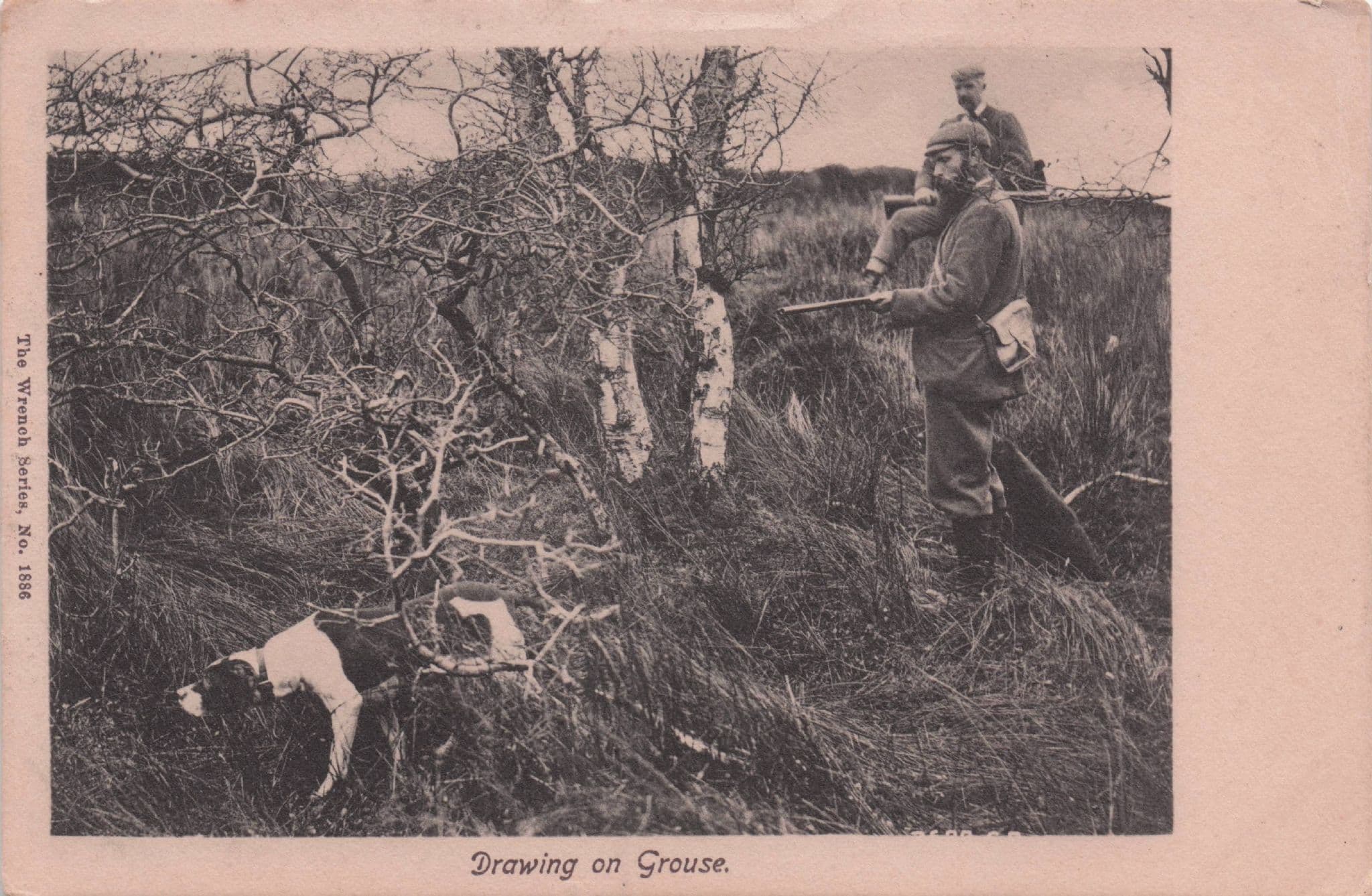 Drawing On Grouse The Wrench Series Animal Hunting Old EX Postcard