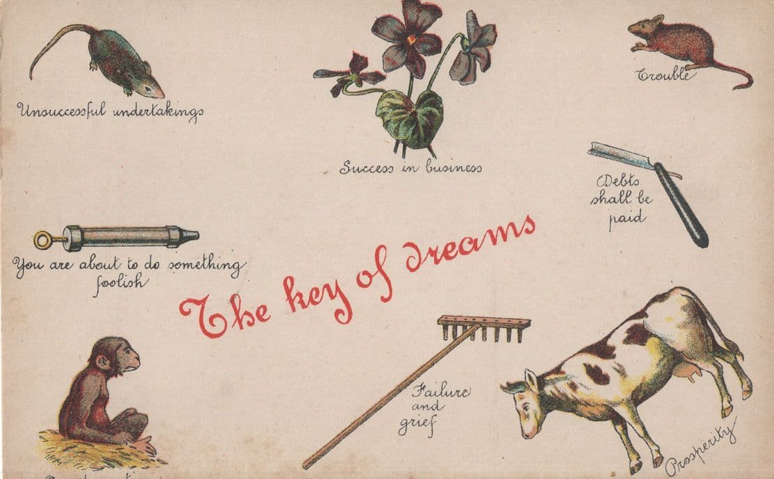 Dreams Fortune Telling Keyring Divination Old Comic Postcard