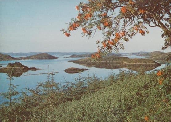 Drumbeg Road View Sutherland DRG 1970s Scottish Postcard