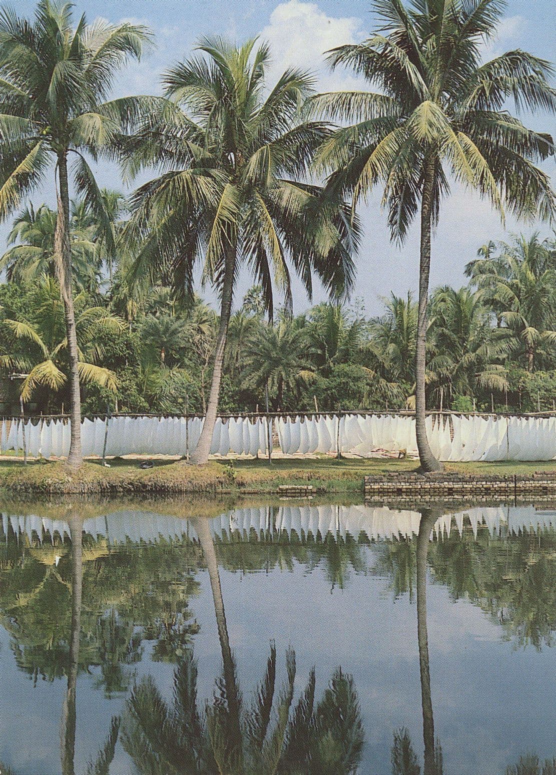 Drying Day for Printers Serampore Calcutta Indian Scarf Making Postcard