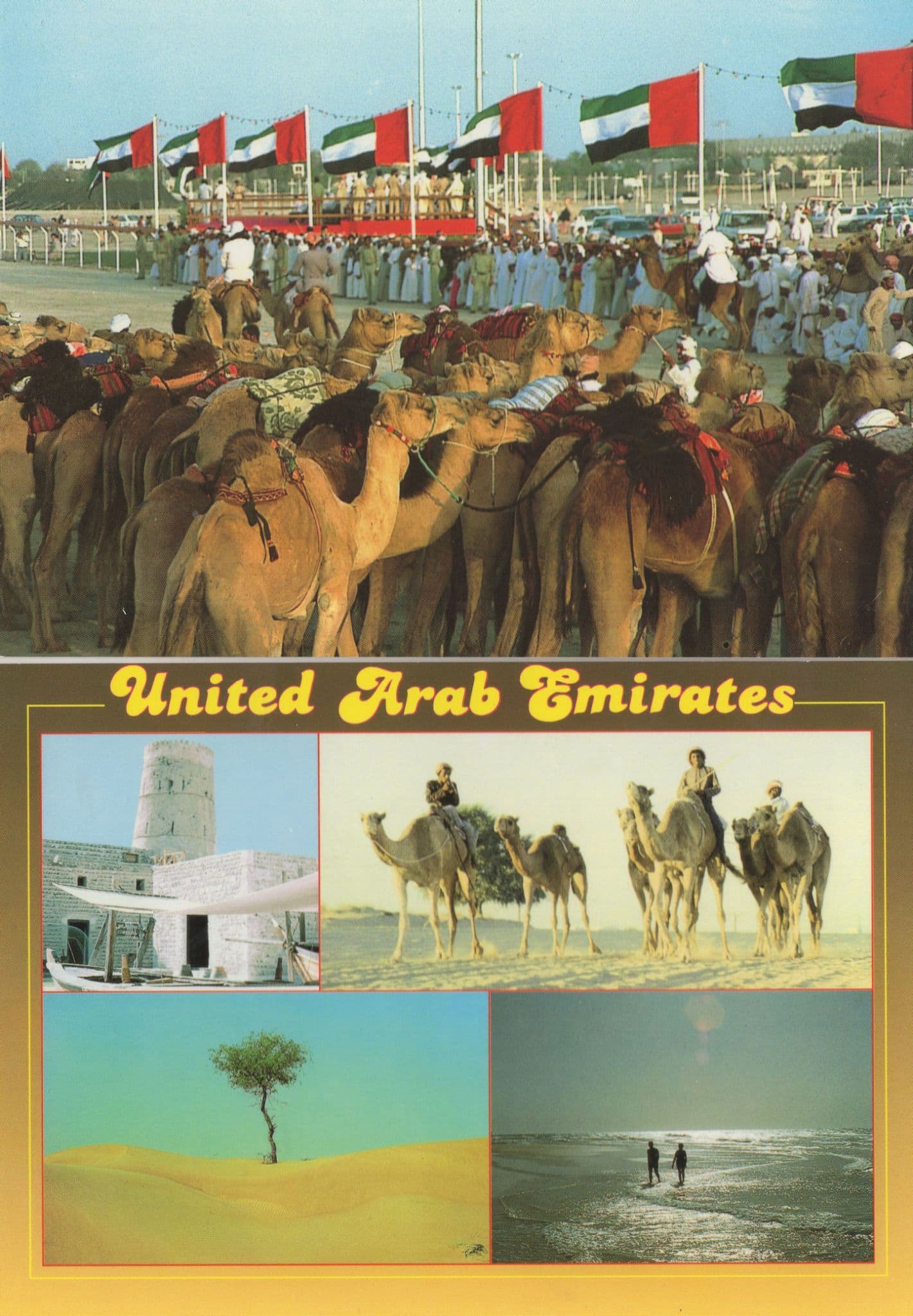 Dubai Arabic Camel Horse Race Racing United Arab Emirates 2x Postcard s