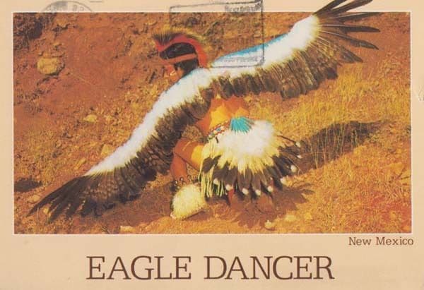 Eagle Dancer Rare Bird Postcard
