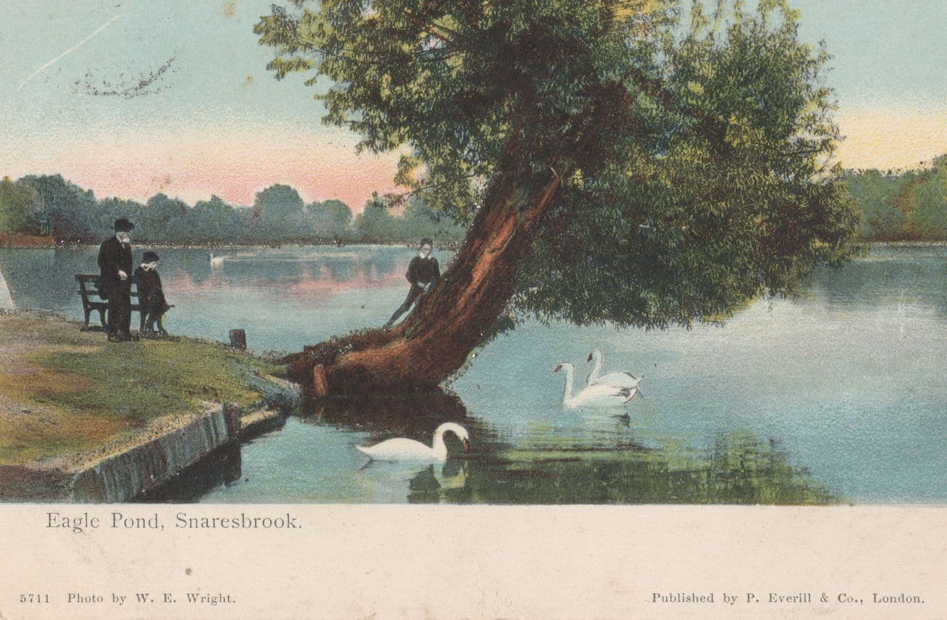 Eagle Pond Snaresborough Yorkshire Real Glitter Antique Postcard