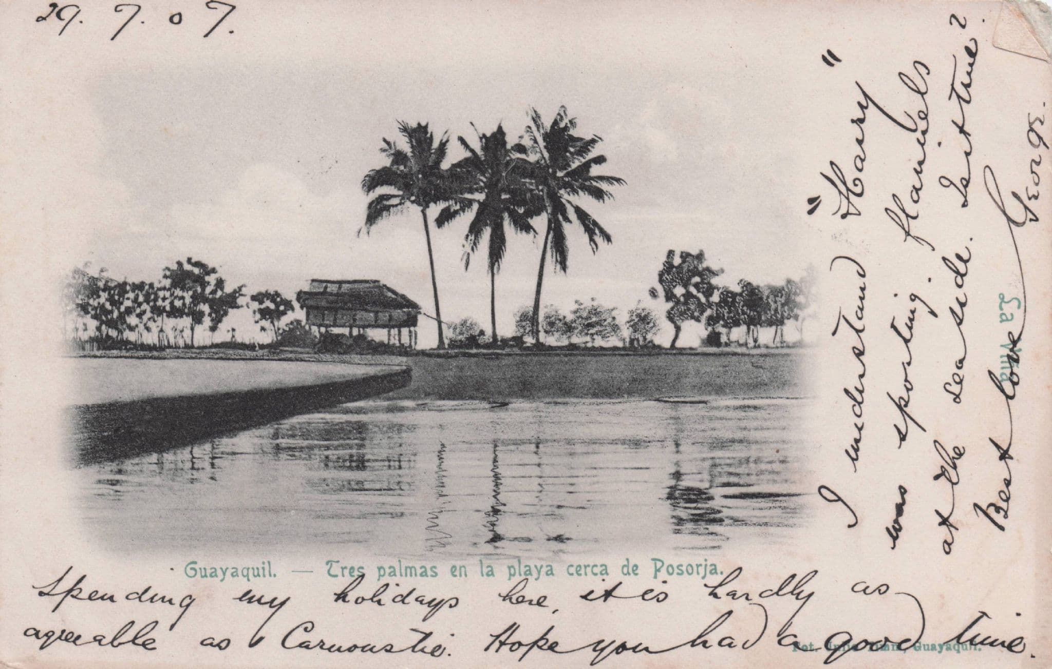Ecuador Guayaquil Tres Palmas En La Playa Cerca De Posorja Postcard