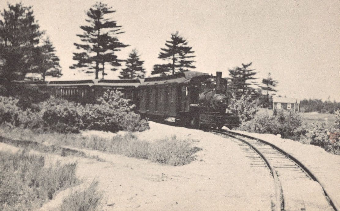 Edaville Passenger Train Cranberry Belt Line USA Railroad Old Postcard