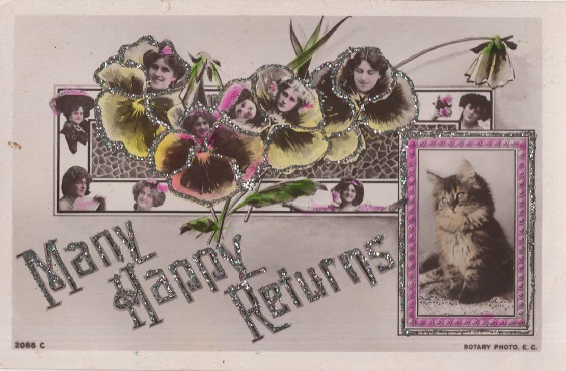 Edwardian Actress Collection Of Faces in Poppy Flowers Cat Rotary Postcard