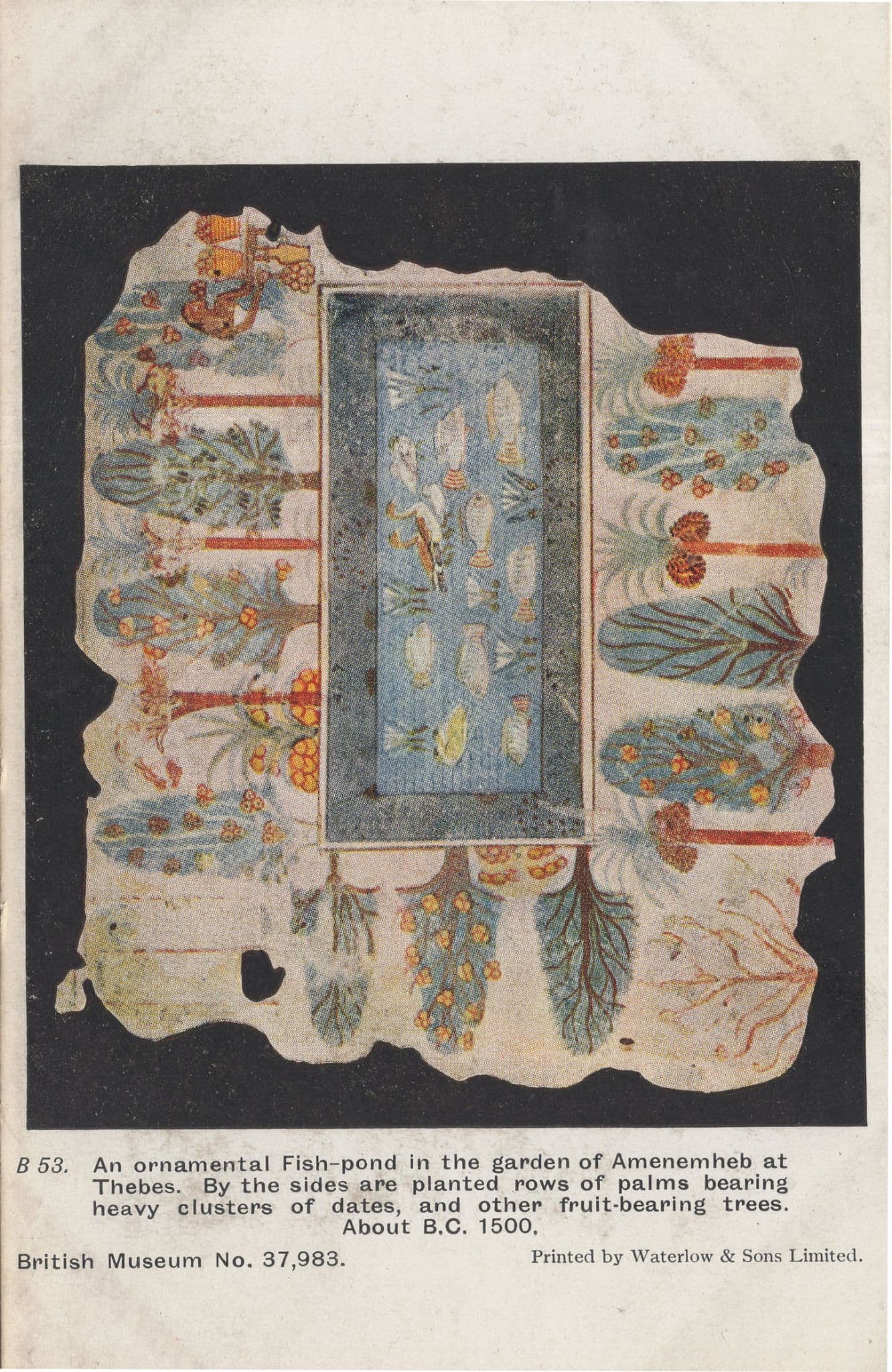 Egyptian Fish Pond Antique Fishes Mural 1500 BC Postcard