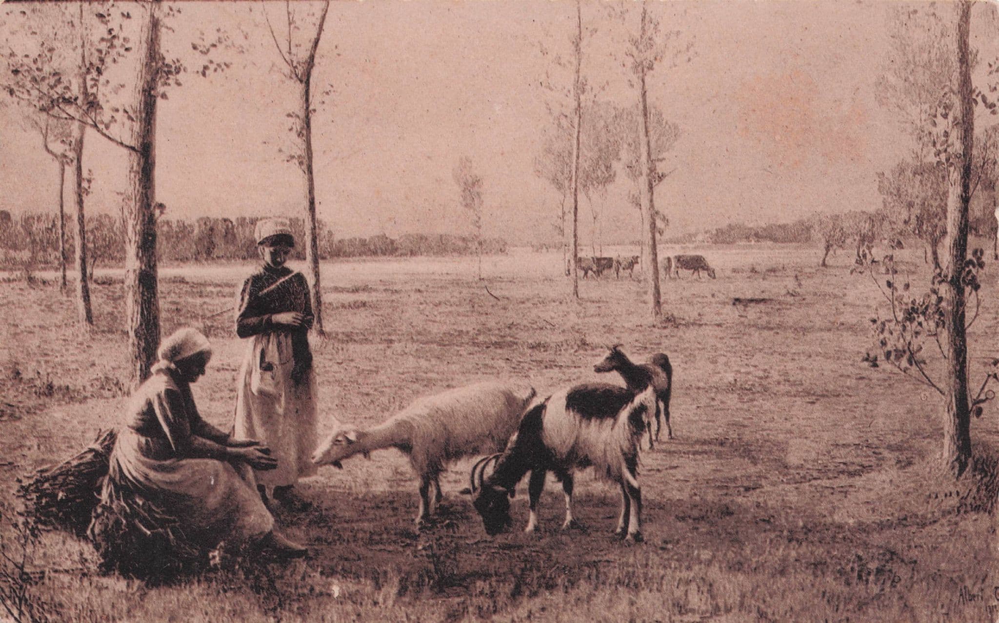 Elderly Farming Lady & Uniform Woman Befriends Goats Farmer Old Postcard