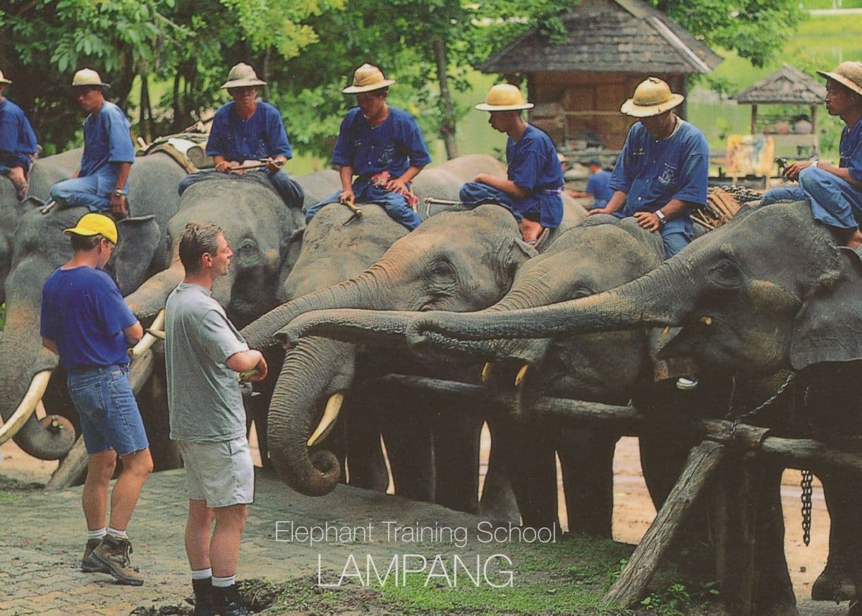 Elephant Animal Training School Lampang Thailand Postcard
