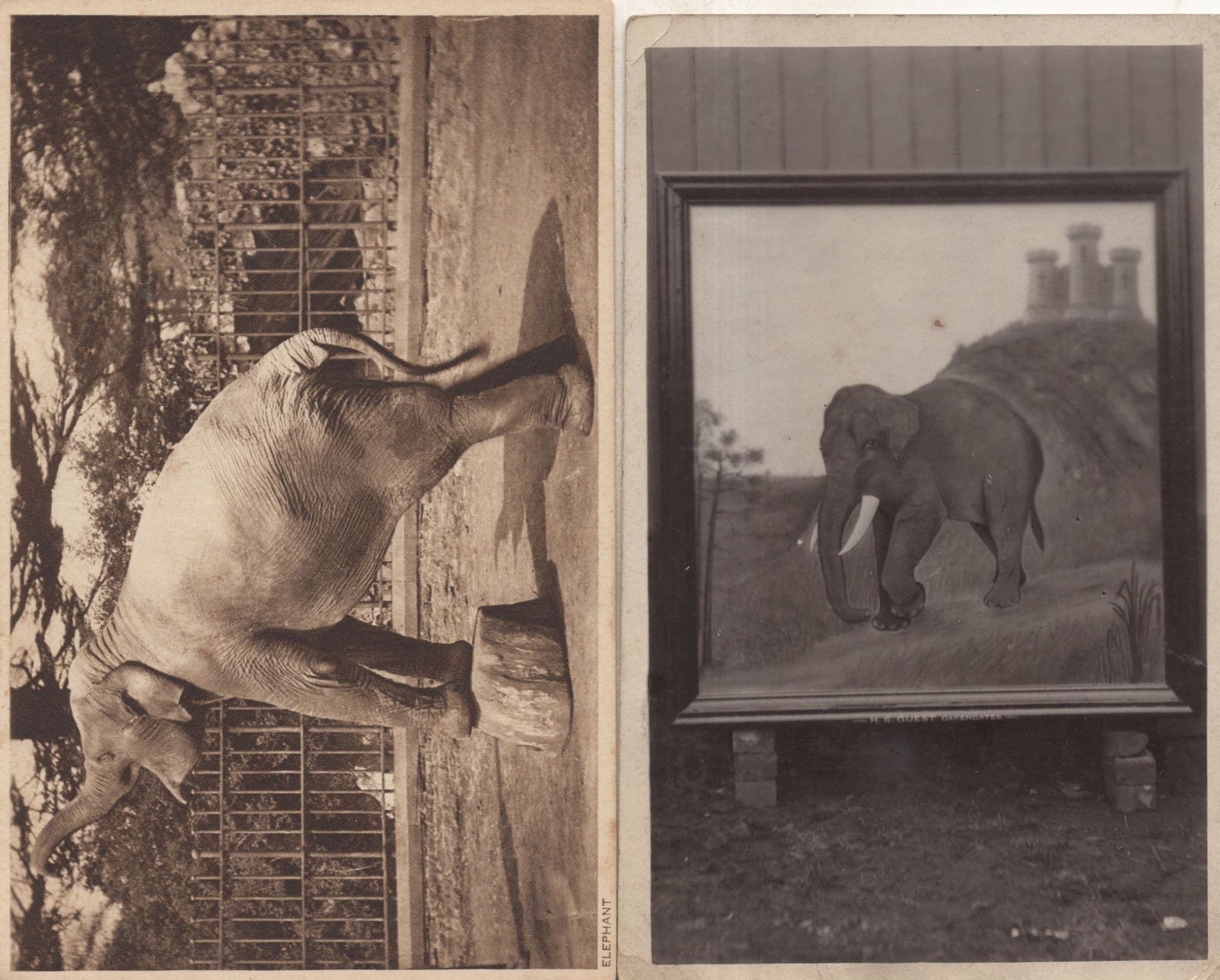Elephant & Castle Hotel Painting Advertising King 2x Antique Postcard s