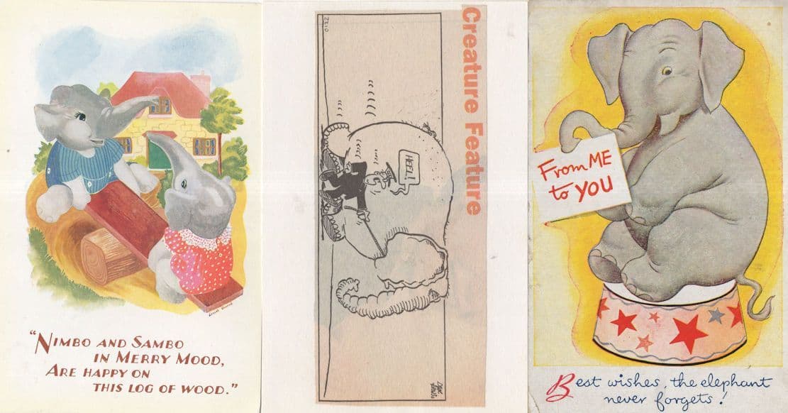 Elephant On See Saw Old Circus Greetings & Zoo 3x Postcard s