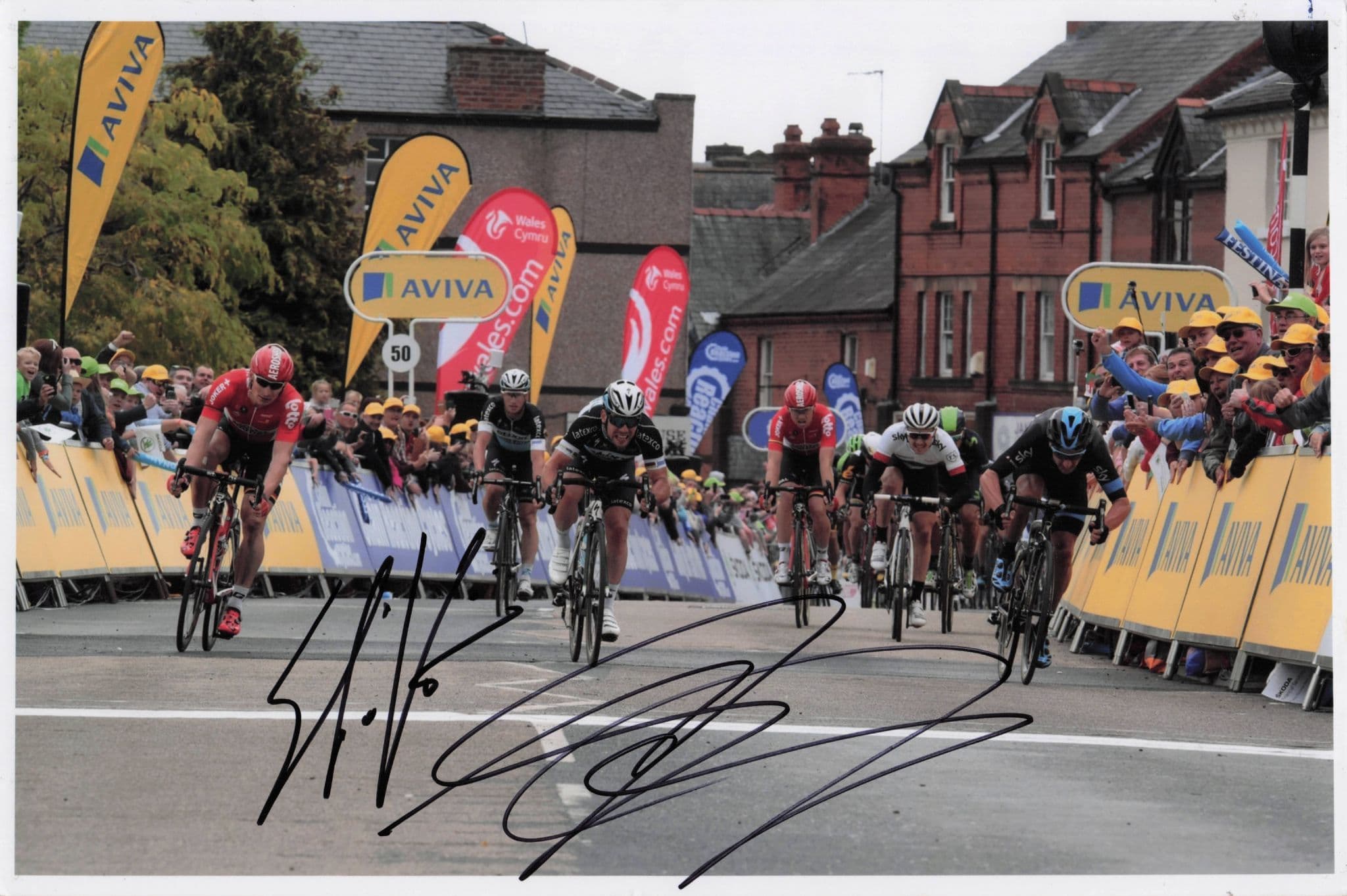 Elia Viviani Italian Cyclist Italy 2015 Tour De Britain 12x8 Hand Signed Photo