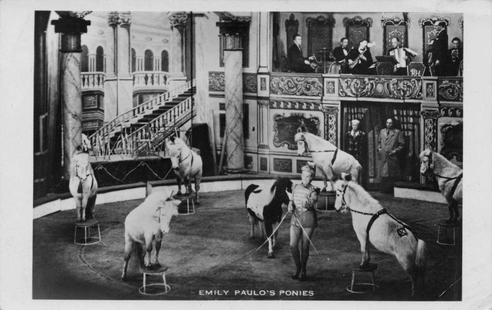 Emily Paulo's Ponies Circus Act Real Photo Vintage RPC Postcard