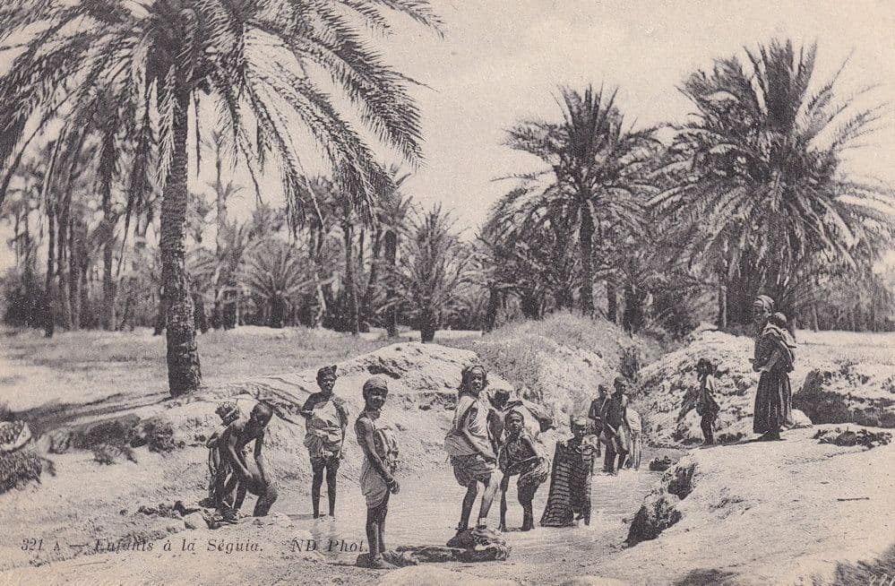 Enfants A La Seguia Vintage Algeria Postcard
