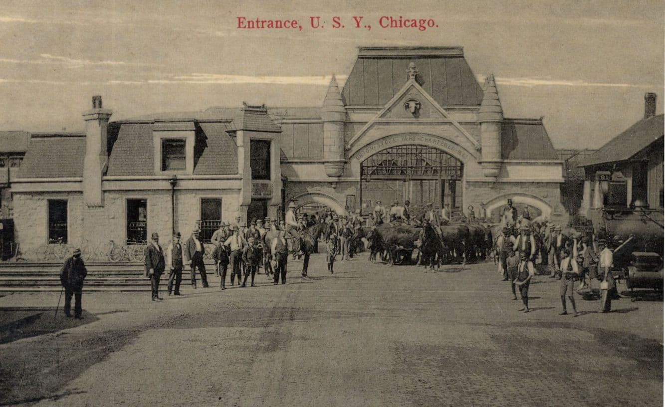 Entrance To U.S.Y. Chicago USA Old Postcard
