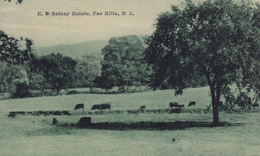 Evander KN Sehley Estate New Jersey Far Hills Antique Postcard