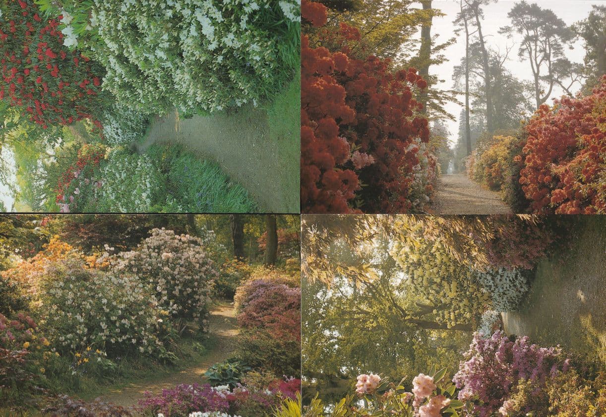Exbury Gardens Hampshire Floral Country Paths 4x Postcard s