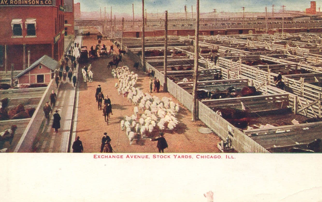 Exchange Street Stock Yards Chicago USA WW1 Postcard