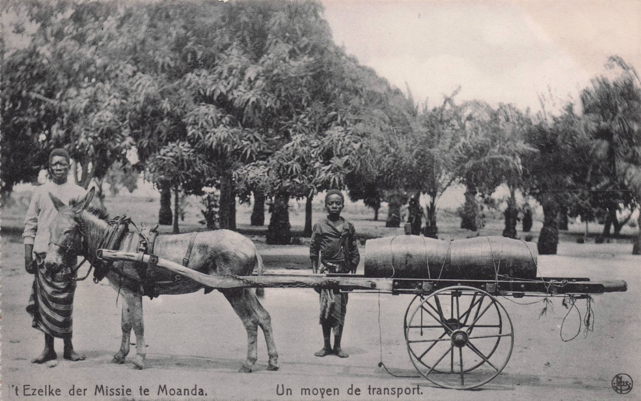 Ezelke Der Missie te Moanda Moyen De Transport Congo Old Postcard