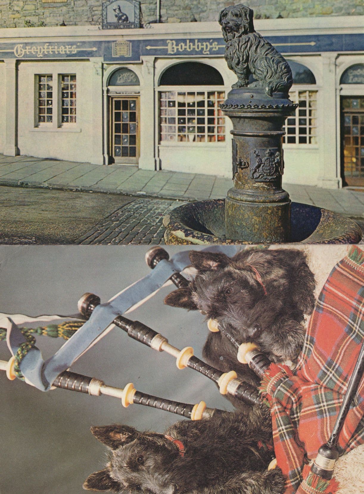 Faithful Greyfriars Bobby Memorial Edinburgh 2x Scottish Dog Postcard