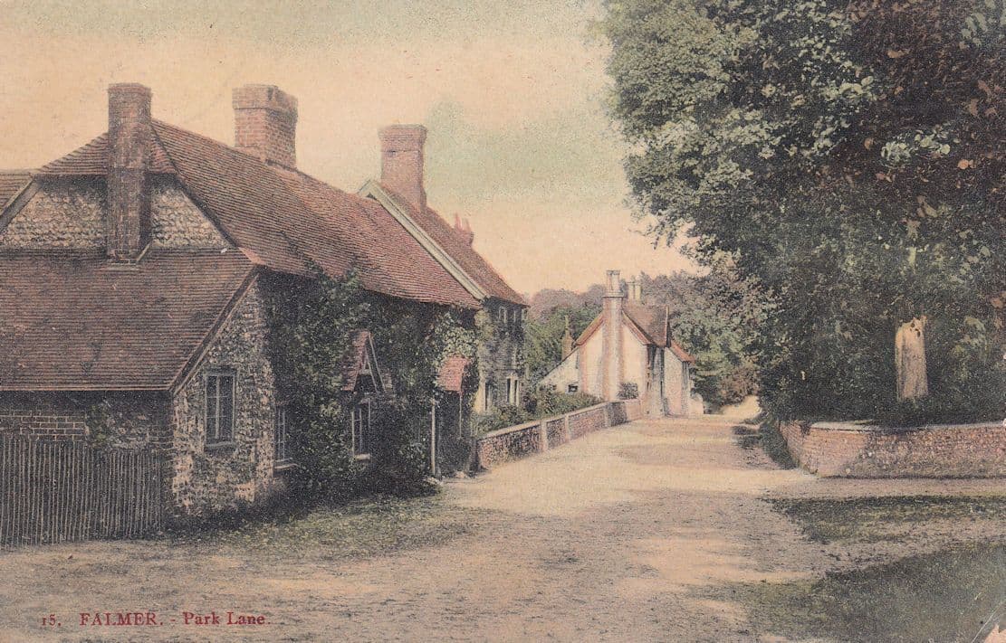Falmer Park Lane Antique Sussex Postcard