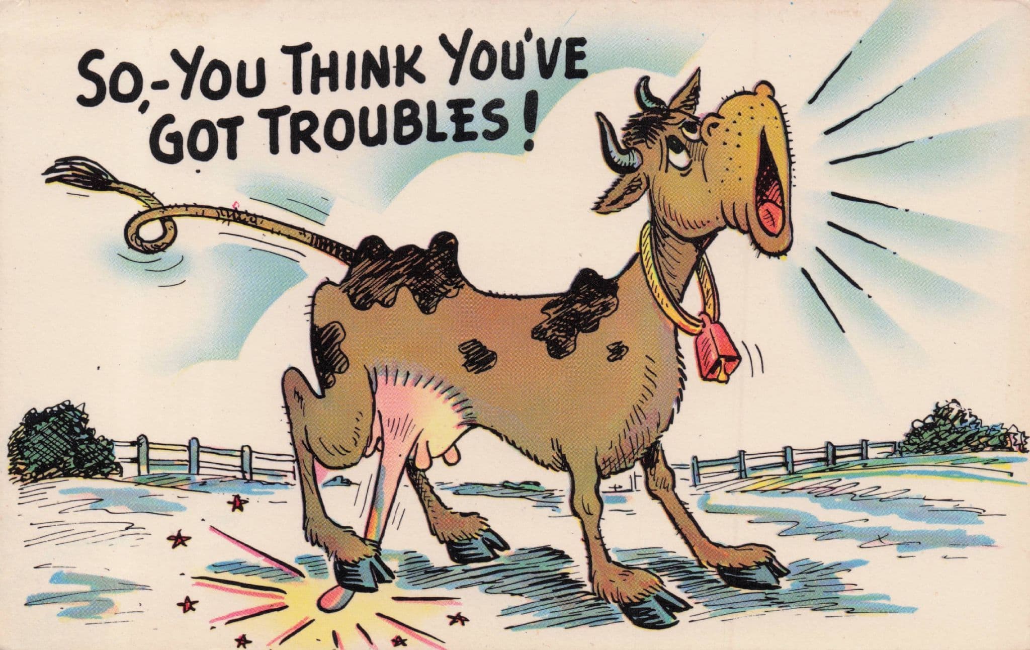 Farm Cow Stands On Udder Cattle Disaster 1970s Comic Postcard