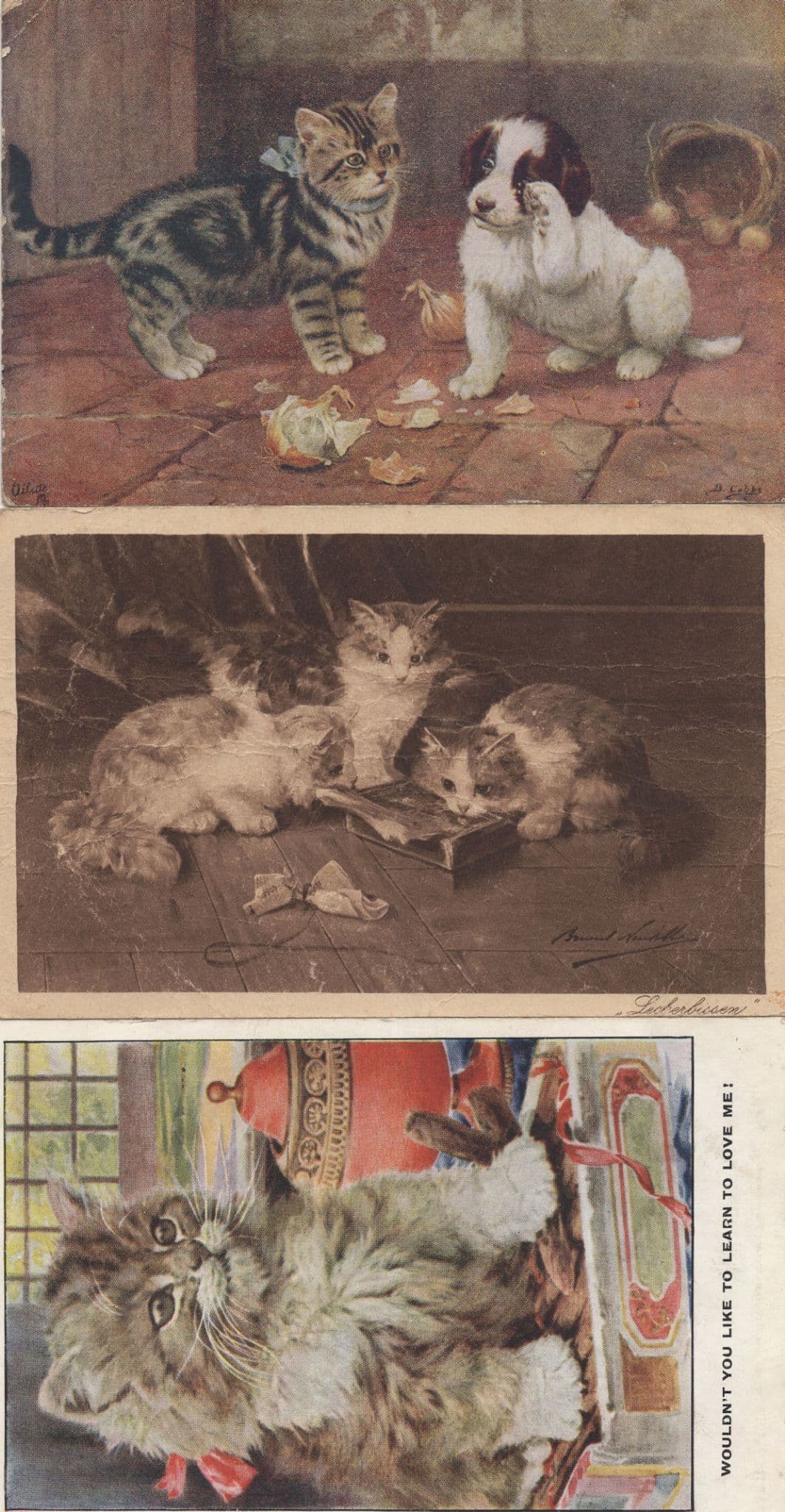Farm Dog Crying Cat Consoling Him Farmyard WW1 3x Postcard
