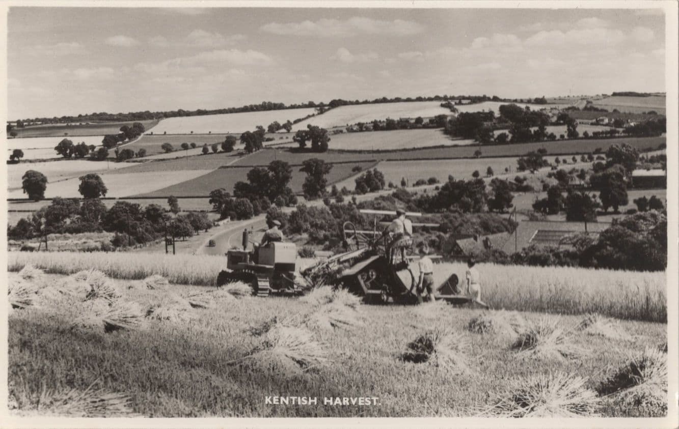 Farmer Ploughing Kentish Harvest Antique Kent Real Photo Postcard