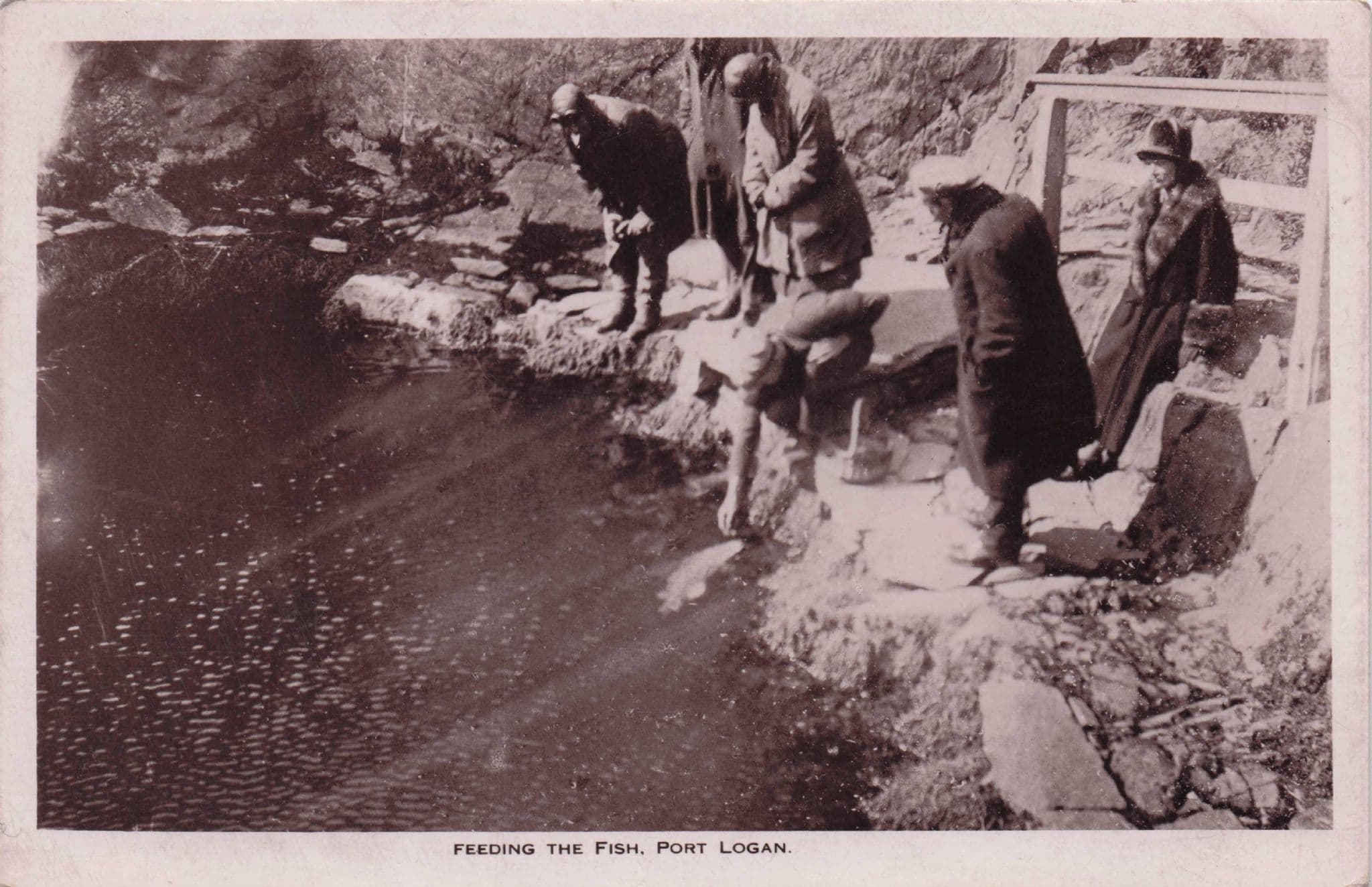 Feeding The Fish Port Logan Scottish Old Dumfries & Galloway Rare Postcard