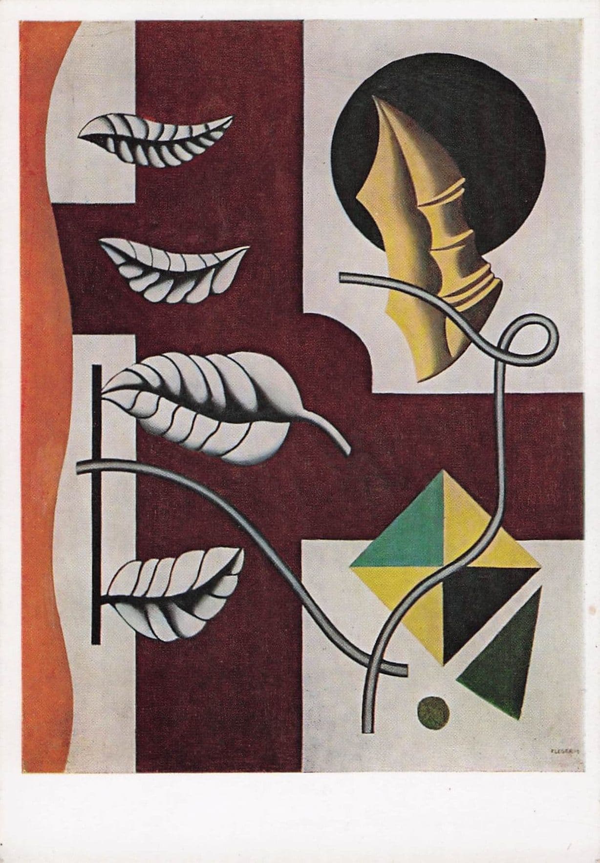 Fernard Leger Leaves & Shell Tate Gallery Painting Postcard