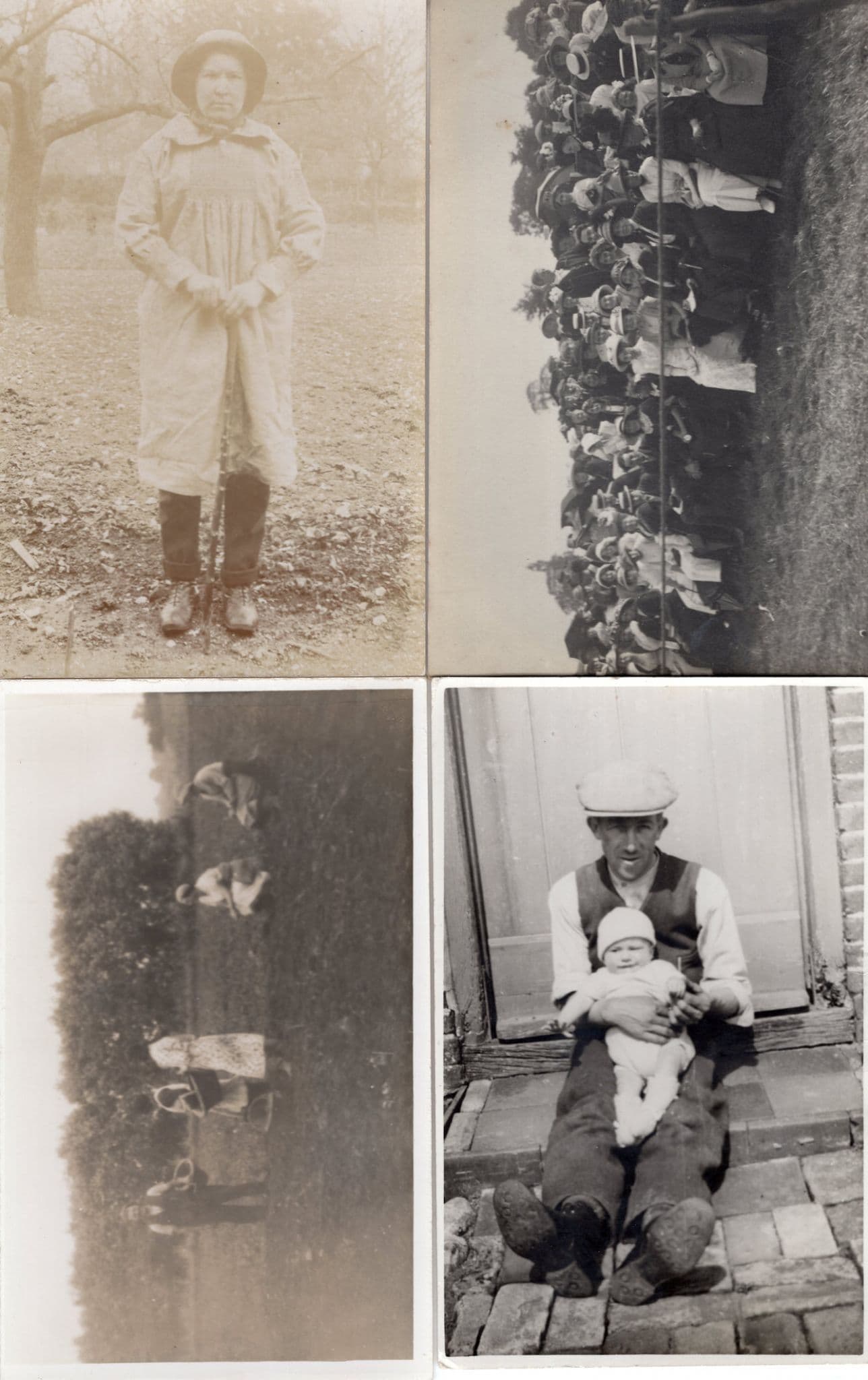 Fete Day Pensioner Poverty Walking Stick Fruit Picking 4x RPC Postcard s