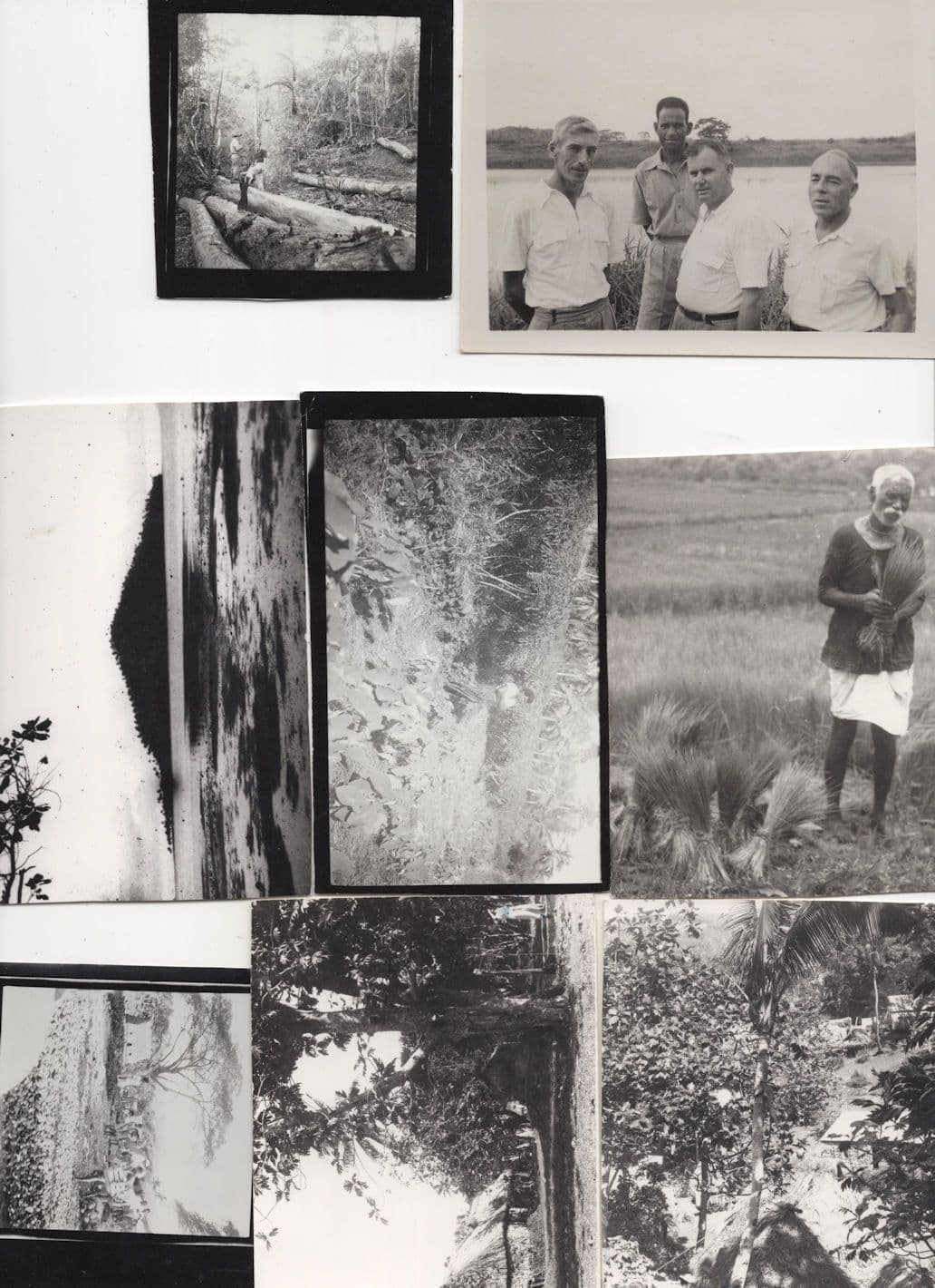 Fiji A Private Travel Collection of 8 Rare WW2 Vintage Old Photo s