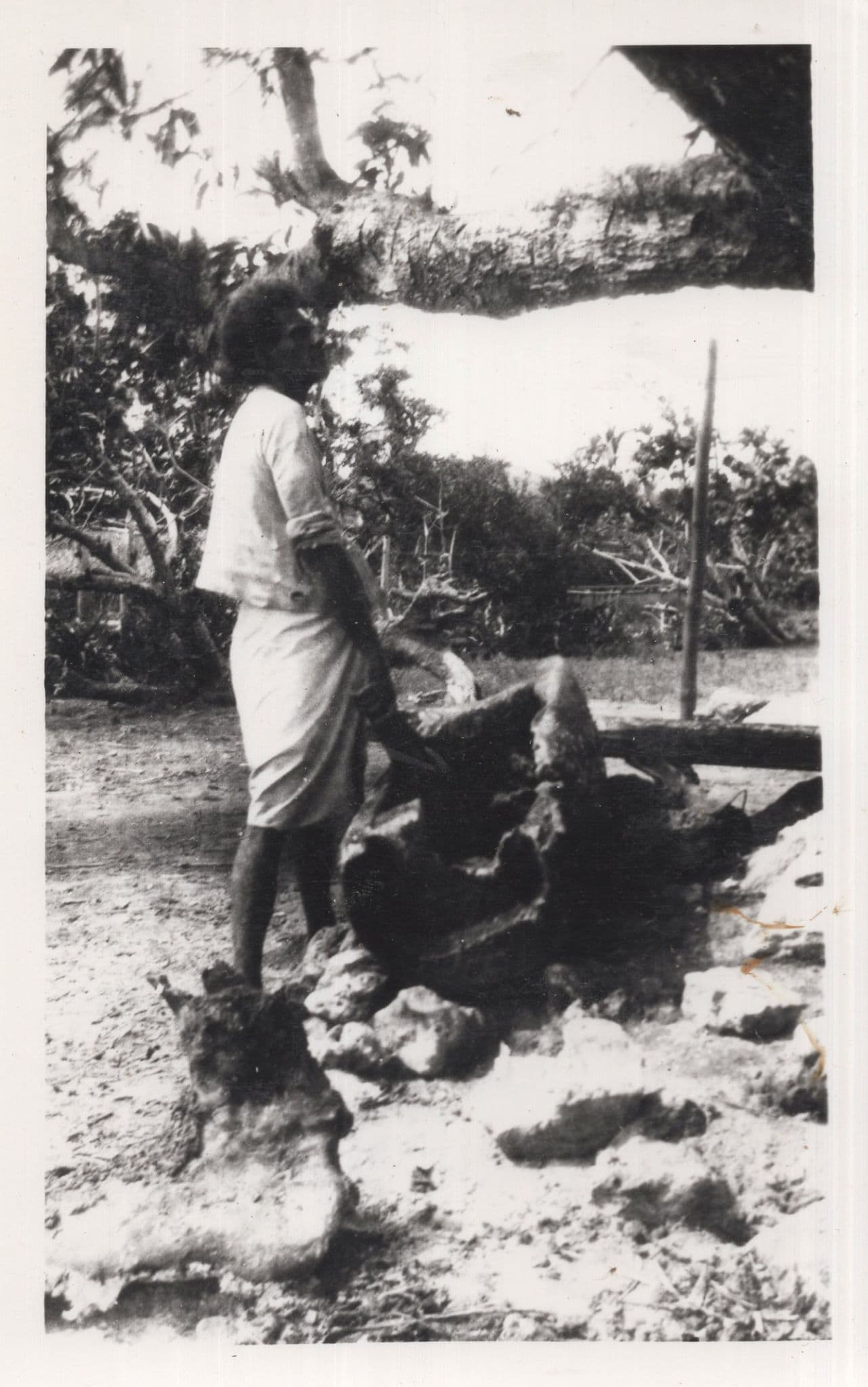 Fiji Beating A Wooden Log War Drum PB Postcard Photo