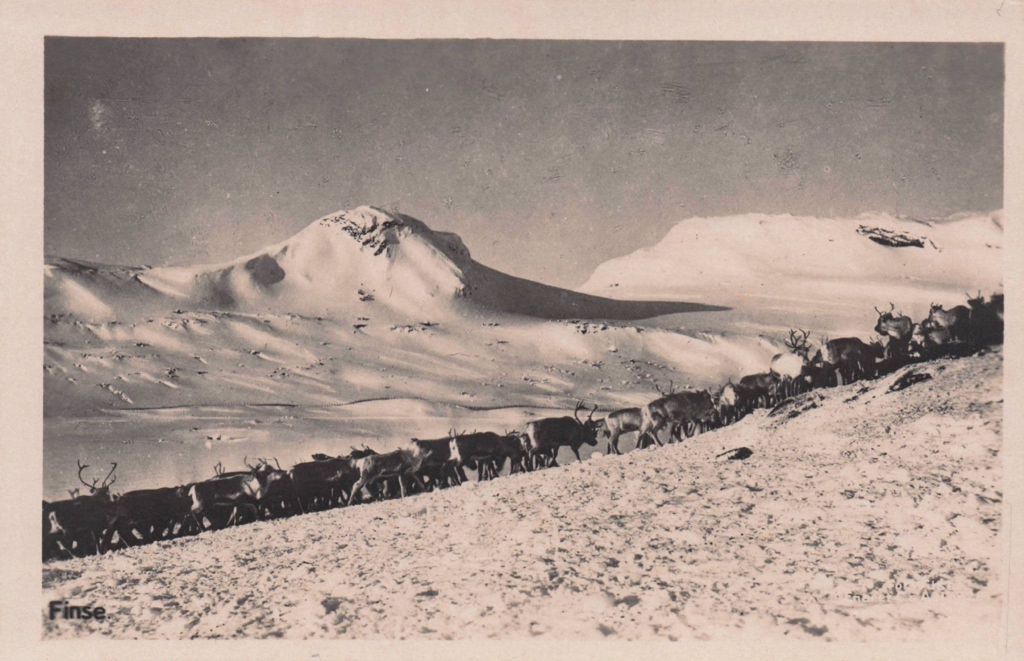 Finse Norway Snow Train Railway Antique Postcard