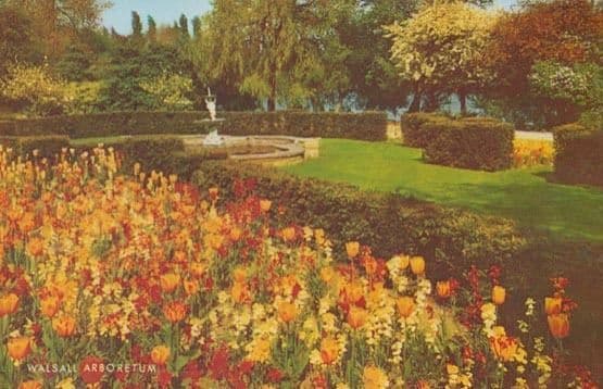 Flower Display at Walsall Arboretum 1970s West Midlands Postcard