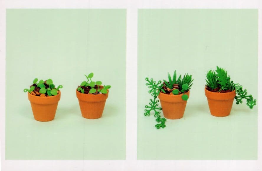 Flowerpot Pot Plants Gardening Watering Can Childrens Lego Display Postcard