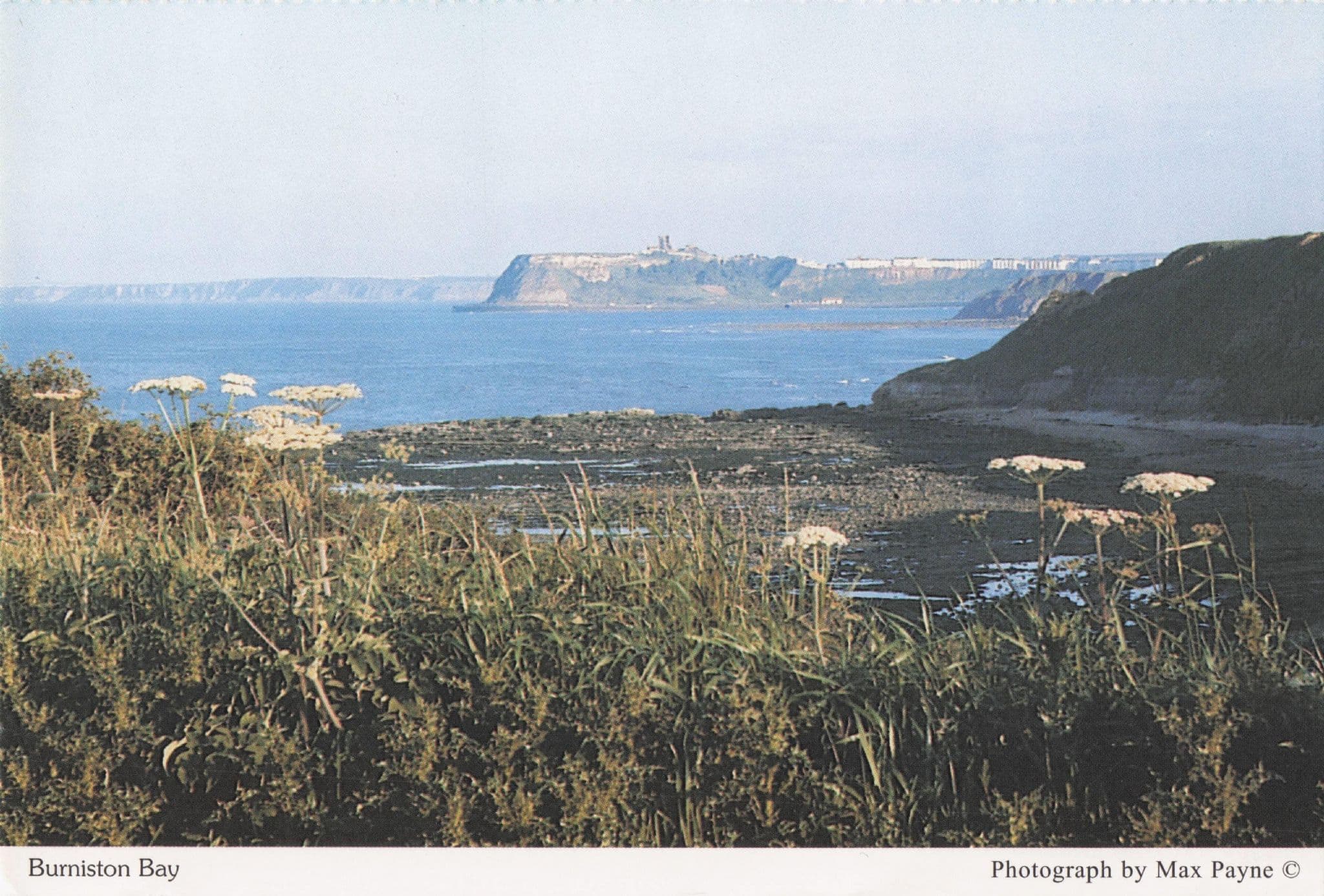 Flowers & Cliffs at Burniston Bay Scarborough Vintage Postcard