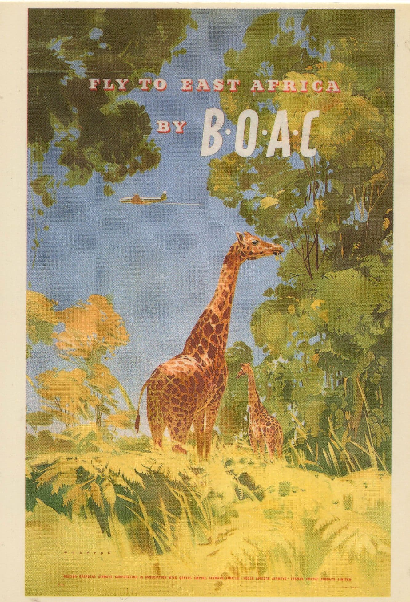 Fly BOAC Plane Flights To East Africa African Travel Advertising Postcard