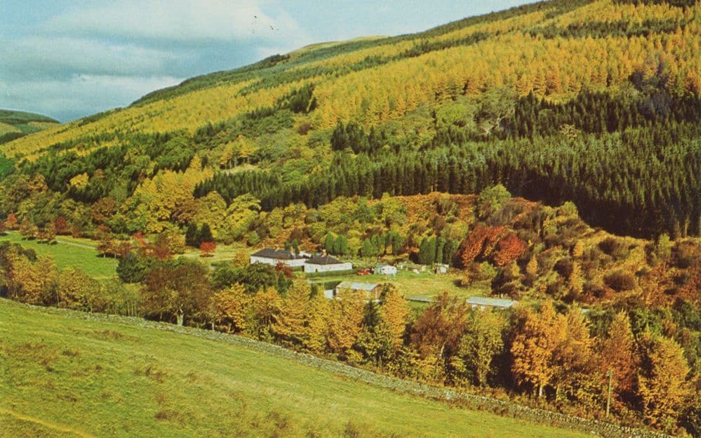 Forest Of Ae Scottish Workers House Dumfries Aerial 1970s Postcard