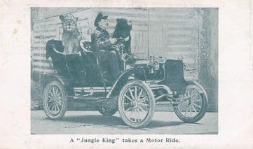 Frank Bostock American Circus Animal King Transport Postcard