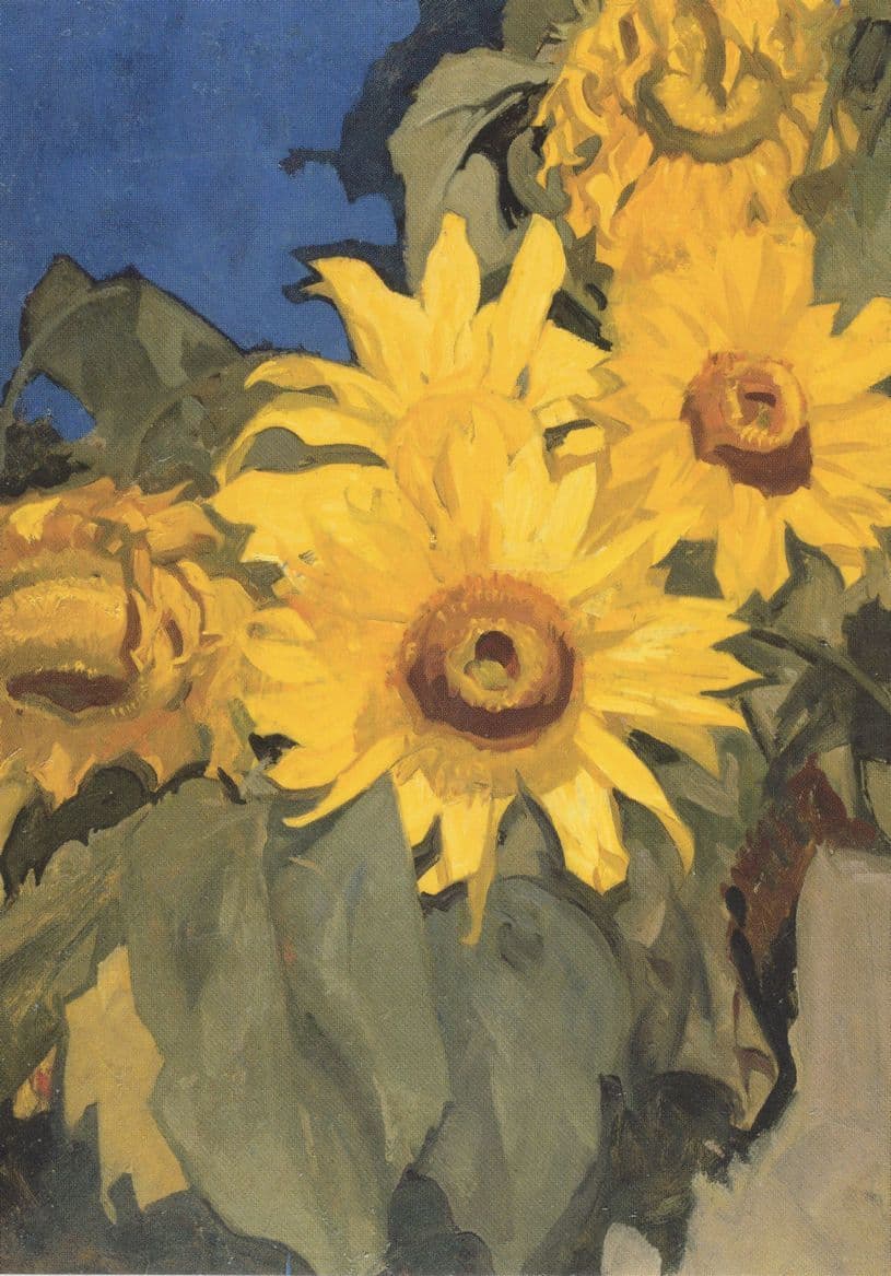 Frank Brangwyn Sunflowers Royal Academy London Painting Postcard