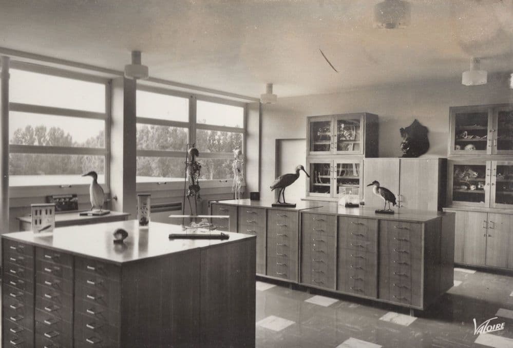 French Science Room Classroom School Valloire Birds Postcard
