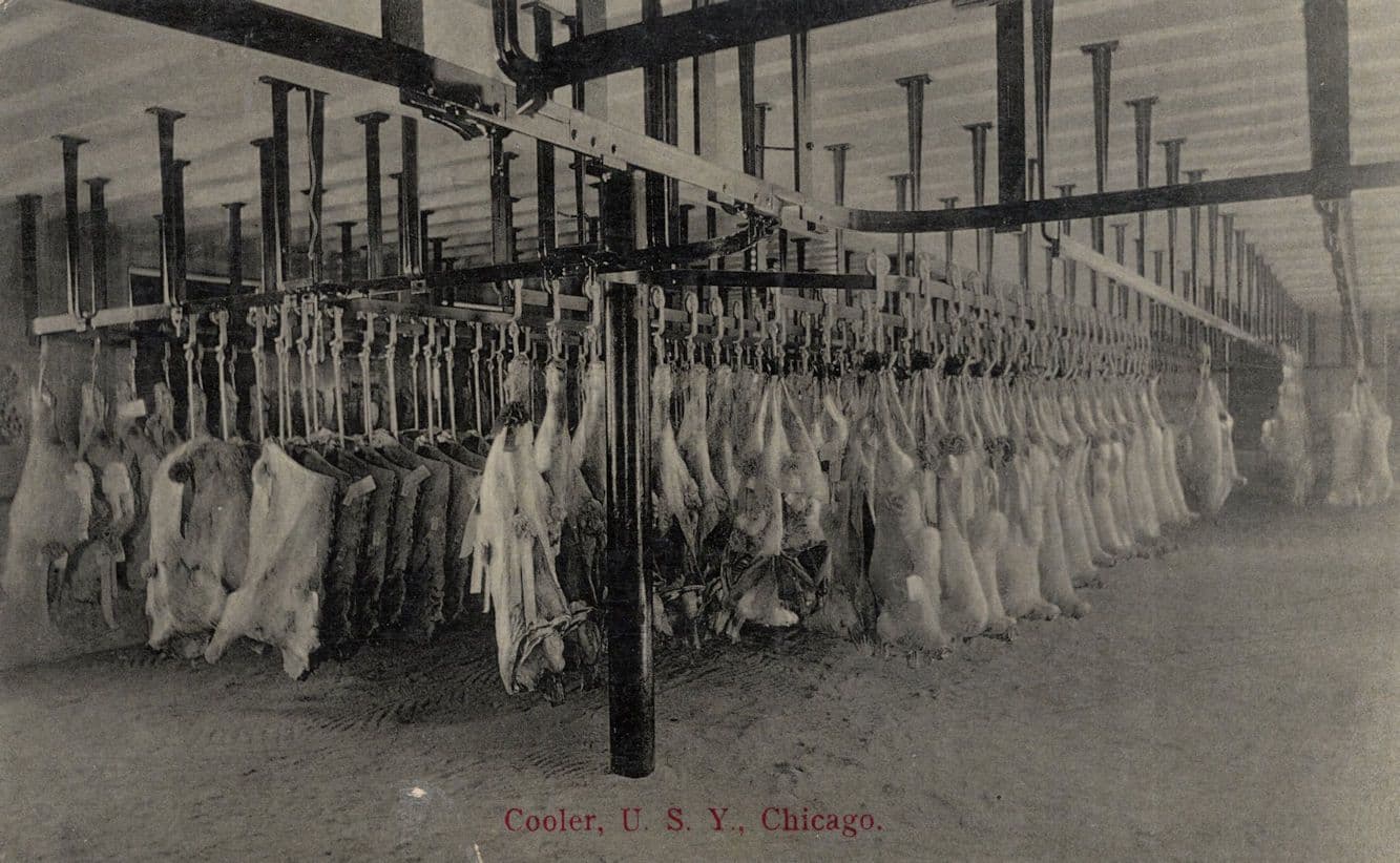 Fridge Cooler Cattle Frozen Chicago Slaughter House Antique RPC USA Postcard
