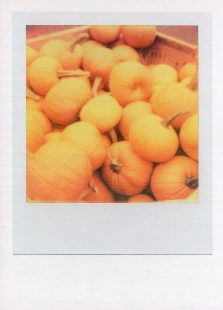 Fruit Basket Of Peaches Oranges Tangerines Award Analog Photo Postcard