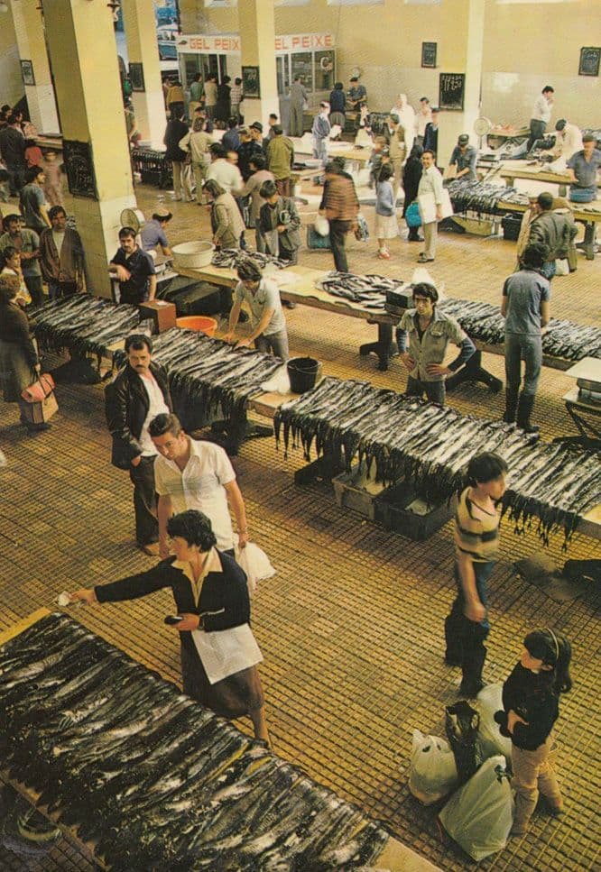 Funchal Fish Poissons Market Traders Shop Portugal Postcard