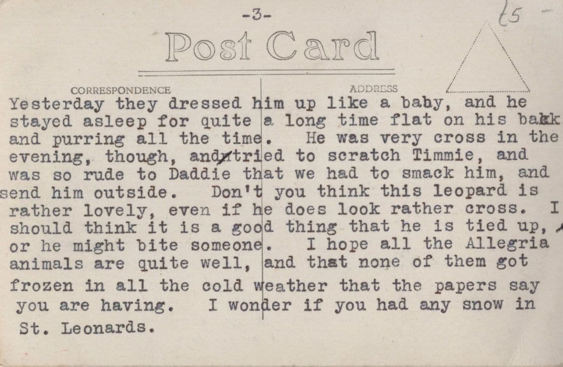 Furious Leopard Tied Chained RPC Postcard & Special Message