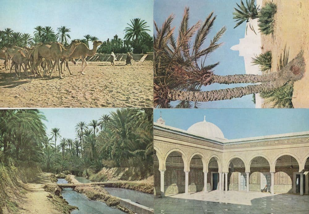 Gabes Gafsa Oasis Kairouan Djerba 4x Tunisie Postcard s