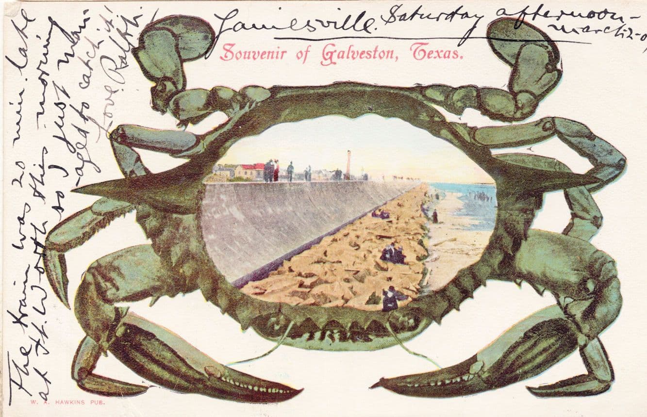 Galveston Texas Crab Antique USA Novelty Postcard