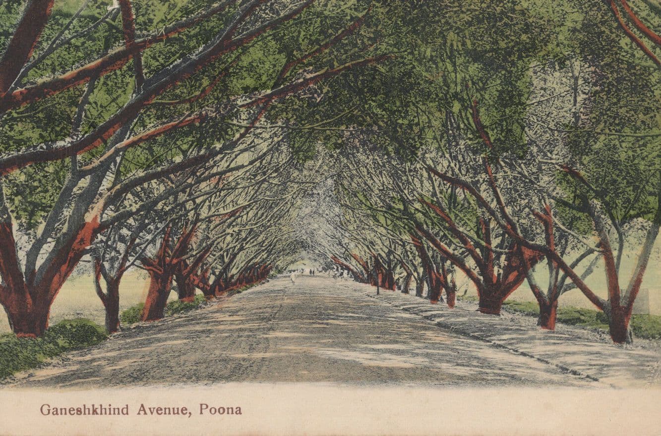 Ganeshkhind Avenue Poona India Old Postcard